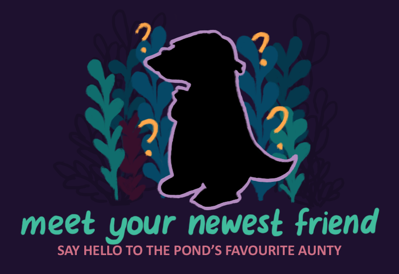 Meet Your Newest Friend: Say Hello to the pond's favourite aunty