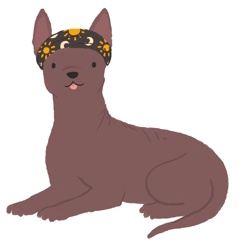 An illustration of Jonny as a Xolo dog, wearing a sun and moon bandana around their forehead and with their tongue pointing out like a blep.